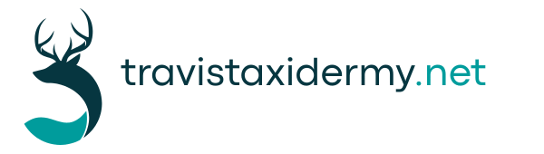 travistaxidermy.net
